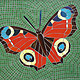 Mosspits Primary School Mosaics, 2014 - One Butterfly