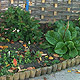 Planting design for a shady garden